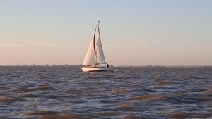 Lire la suite à propos de l’article Sortie Port Medoc 2018
