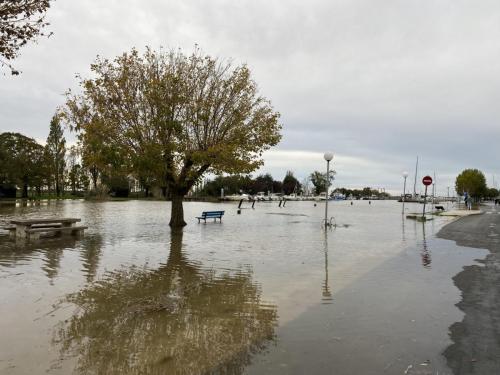 port grande marée 6